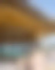 Foto av nouso1