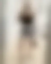 Foto av munadiah364777155