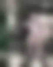 Foto av evelynestephania