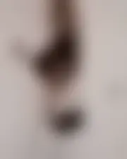 Foto av sylvia00