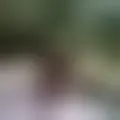 Discutir com 111273jose