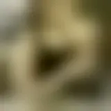 Bate-papo com agathedisdonc