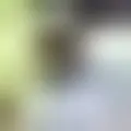 Diskuter med azacifus31502