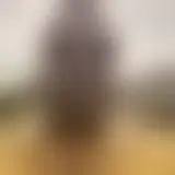 Charla con black29122025