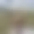 Chat med  cahetaiah76717