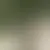 Profil von dylan889