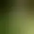 Profil av jessica555