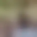Diskuter med josepadillacatala