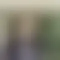 Discutir com lauhasaiah25398