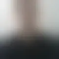 Chat with  marcos_sc