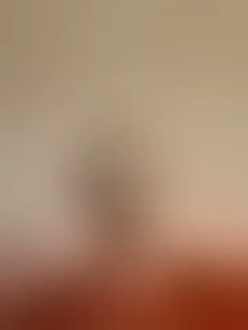 Contact mrbeatitup and singles women in woodruff place Chat with mrbeatitup and singles men in woodruff place