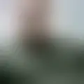 Discutir con tzao69