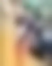 Foto av kalicha7865