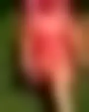 Foto von virginie598