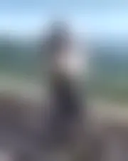 Foto av nergon529737128