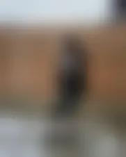 Foto de lafolie455