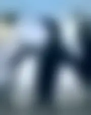 Foto av anssagias33035