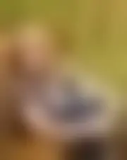 Foto av katrin24