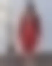Foto av alea23343402