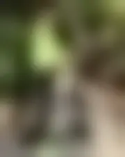Foto av olivia0seule