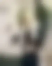 Foto av babydoll