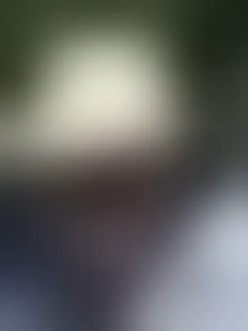 Chat with bessagoch44147 and singles men in washington