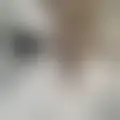 Reden mit bruno679246