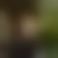 Diskuter med gustavomaia