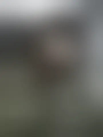 Chat with jaycurty and singles men in sunnyside