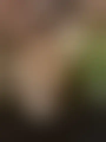 Chatter avec joaogostoso et des hommes célibataires vers Paris