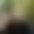 Discuter avec kamaczek