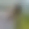 Discutir com luis561253