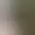 Profil av mophomee82884
