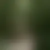 Habla con Octavio515 y con otros solteros cerca de corales