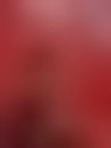 Chatter avec vitor3953 et des hommes célibataires vers Paris