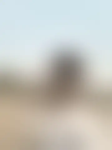 Chatter avec wallas9530 et des hommes célibataires vers Paris